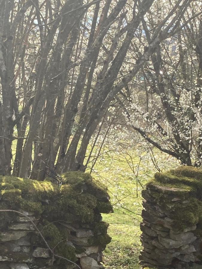فيلا Le Jardin De Theleme "Charme Discret Pour Un Nid Douillet" Mazille المظهر الخارجي الصورة